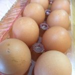 Egg